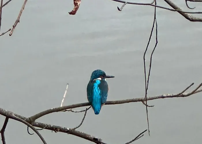 Apartmán Zum Ritterorden *